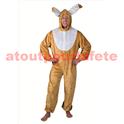 Costume de Lapin (H)