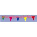 Guirlande plastique triangulaire multicolore 10 fanions 5m