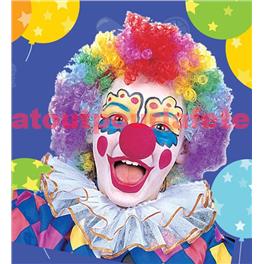 Nez de Clown Rouge en mousse Nez de Clown Rouge en mousse