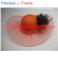 Capeline en Tulle (tulle)