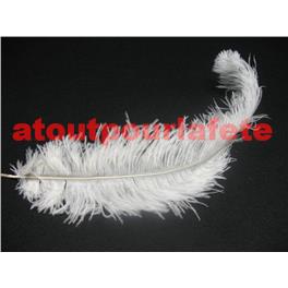Plumes d'Autruche 30/35cm, (Blondine)       