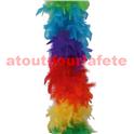 Boa en plumes 2 tons multicolore