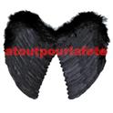 Ailes d'ange noire 44 x 38cms (plumes)