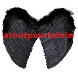 Ailes d'ange noire 44 x 38cms (plumes) Ailes d'ange noire 44 x 38cms (plumes)