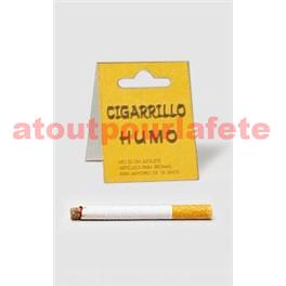 Cigarette incandescente (sachet individuel)