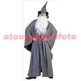 Déguisement Gandalf, Merlin L'enchanteur (H)(T.U)