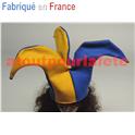 Fou du Roi, Bouffon, Joker, Supporters, Conscrits,