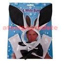 Set Bunny
