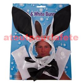 Set Bunny Set Bunny