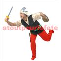 Costume d' Astérix (H)