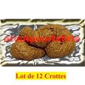 Lot de 12 Crottes de chien en plastique