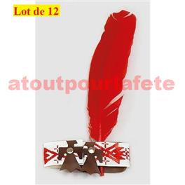 Lot de 12 Bandeaux Indien avec plume