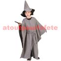 Déguisement Gandalf, Merlin L'enchanteur (adulte)(T.U)