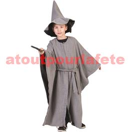 Déguisement Gandalf, Merlin L'enchanteur (adulte)(T.U)