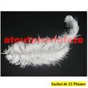 Sachet de 12 Plumes d'Autruche 30/35cm, (Blondine)       