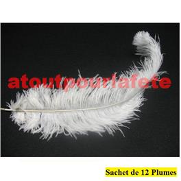 Sachet de 12 Plumes d'Autruche 30/35cm, (Blondine)       