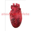 Faux coeur sanglant (plastique)