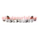 Guirlande lettres "Hollywood" 135cm