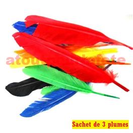 Sachet de 3 Plumes d' Indien (dinde) Sachet de 3 Plumes d' Indien (dinde)
