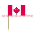 blister de 50 Mini drapeaux Canada - F1 3 x 5cm