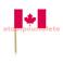 blister de 50 Mini drapeaux Canada - F1 3 x 5cm