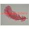 Plumes d'Autruche 30/35cm, (Blondine)       