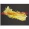 Plumes d'Autruche 30/35cm, (Blondine)       