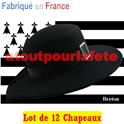 Lot de 12 Chapeaux Breton adulte (feutre)