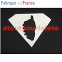 Logo, Insigne Super Corse, super héros de L' Ile de Beauté....