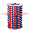 Sachet de 12 Lampions Cylindrique Tricolore