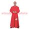 Déguisement de Monseigneur,Evèque,Prélat, (H)