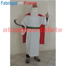 Déguisement de Druide, Panoramix
