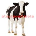 Figurine pour decoration Ferme Vache 152cm