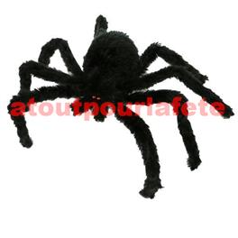 AraignéeTarentule noire poilue GM 44cms AraignéeTarentule noire poilue GM 44cms