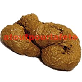 Crotte de chien en plastique Crotte de chien en plastique