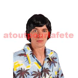 Perruque Beatles, (homme) Perruque Beatles, (homme)