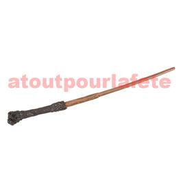 Baguette Harry Potter, Sorcier