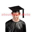 Chapeau Universitaire, Oxford, Cambridge,Harvard,Remise de prix