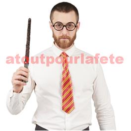 Set de Sorcier Harry Potter Set de Sorcier Harry Potter