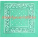 Bandana vert d'eau 55 X 55