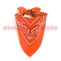 Bandana orange 55 X 55cms