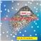lot de 12 sachets Confettis multicolore (sachet de 100grs)