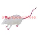 Souris (20cm avec la queue)(la pièce)(modèle aléatoire)
