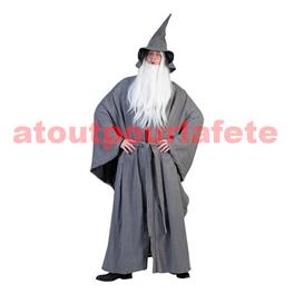 Déguisement Gandalf, Merlin L'enchanteur (adulte)(T.U)