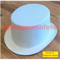 Chapeau Haut de Forme Gibus"Cylindre" Blanc Junior 10ans sans ruban