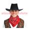 Chapeau Cow boy suédine