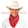 Chapeau Cow boy suédine