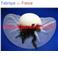 Capeline en Tulle (tulle)