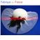 Capeline en Tulle (tulle)