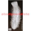 Plumes Blanches 10cms (palette de dinde) (sachet de 50)